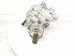 2024 Jeep Grand Cherokee Front Differential Awd 3.6l 68340267AD Replacement 2024 Jeep Grand Cherokee Front Differential Awd 3.6l 68340267AD Replacement thumbnail