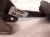 2020 Toyota Camry Brake Pedal Assy 2.5l Fwd 47110 33340 Replacement 2020 Toyota Camry Brake Pedal Assy 2.5l Fwd 47110 33340 Replacement thumbnail