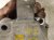 2024 Jeep Grand Cherokee Engine/motor Passenger Engine Mount Bracket 3.6 Awd 68375850AA Replacement 2024 Jeep Grand Cherokee Engine/motor Passenger Engine Mount Bracket 3.6 Awd 68375850AA Replacement thumbnail