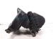 2023 Honda HR V Air Cleaner Intake Box 17201 6CT A01 Replacement 2023 Honda HR V Air Cleaner Intake Box 17201 6CT A01 Replacement thumbnail