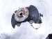 2023 Honda HR V Front Passenger Spindle Knuckle Hub Fwd Replacement 2023 Honda HR V Front Passenger Spindle Knuckle Hub Fwd Replacement thumbnail