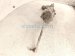 2023 Honda HR V And / Gear Box Power Steering Rack & Pinion 53600 3W0 A15 M1 Replacement 2023 Honda HR V And / Gear Box Power Steering Rack & Pinion 53600 3W0 A15 M1 Replacement thumbnail