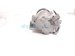 2023 Honda HR V Air + Clutch Ac Pump / Compressor 38810 64S A01 Replacement 2023 Honda HR V Air + Clutch Ac Pump / Compressor 38810 64S A01 Replacement thumbnail