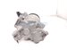 2023 Honda HR V Air + Clutch Ac Pump / Compressor 38810 64S A01 Replacement 2023 Honda HR V Air + Clutch Ac Pump / Compressor 38810 64S A01 Replacement thumbnail