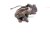 2022 Toyota Sienna Rear Driver Brake Caliper 47850 08020 Replacement 2022 Toyota Sienna Rear Driver Brake Caliper 47850 08020 Replacement thumbnail