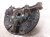 2024 Subaru Legacy Front Driver Spindle Knuckle Hub 28313AN01A Replacement 2024 Subaru Legacy Front Driver Spindle Knuckle Hub 28313AN01A Replacement thumbnail