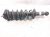 2024 Subaru Legacy Rear Driver Strut Absorber + Spring 20365AN00A Replacement 2024 Subaru Legacy Rear Driver Strut Absorber + Spring 20365AN00A Replacement thumbnail