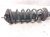 2024 Subaru Legacy Rear Driver Strut Absorber + Spring 20365AN00A Replacement 2024 Subaru Legacy Rear Driver Strut Absorber + Spring 20365AN00A Replacement thumbnail