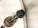2023 Toyota Corollacs Rear Passenger Cv Axle Drive Shaft Awd 42330 0A010 Replacement 2023 Toyota Corollacs Rear Passenger Cv Axle Drive Shaft Awd 42330 0A010 Replacement thumbnail
