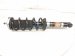 2024 Chevy Corvette Strut / Spring / Rear Passenger Shock Absorber 84905754 Replacement 2024 Chevy Corvette Strut / Spring / Rear Passenger Shock Absorber 84905754 Replacement thumbnail