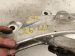 2024 Acura Integra Spring Front Driver Strut Knuckle Fork Only 51280 T60 J01 Replacement 2024 Acura Integra Spring Front Driver Strut Knuckle Fork Only 51280 T60 J01 Replacement thumbnail
