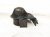 2018 BMW X5 Air A/c Blower Motor Front 67 63 9 118 074 Replacement 2018 BMW X5 Air A/c Blower Motor Front 67 63 9 118 074 Replacement thumbnail