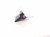 2024 Jeep Grand Cherokee Keyless Entry Antenna Module 68520859AA Replacement 2024 Jeep Grand Cherokee Keyless Entry Antenna Module 68520859AA Replacement thumbnail