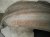 2018 Honda Clarity Front Driver Inner Fender Liner 74150 TRW A01 Replacement 2018 Honda Clarity Front Driver Inner Fender Liner 74150 TRW A01 Replacement thumbnail