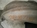 2018 Honda Clarity Front Driver Inner Fender Liner 74150 TRW A01 Replacement 2018 Honda Clarity Front Driver Inner Fender Liner 74150 TRW A01 Replacement thumbnail