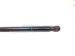 2024 Subaru WRX Front Driver Hood Shock Strut 57251VC010 Replacement 2024 Subaru WRX Front Driver Hood Shock Strut 57251VC010 Replacement thumbnail