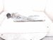 2020 Toyota Camry Front Passenger Window Regulator & Motor 69801 06190 Replacement 2020 Toyota Camry Front Passenger Window Regulator & Motor 69801 06190 Replacement thumbnail