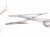 2020 Toyota Camry Front Passenger Window Regulator & Motor 69801 06190 Replacement 2020 Toyota Camry Front Passenger Window Regulator & Motor 69801 06190 Replacement thumbnail