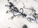 2024 Subaru WRX Dash Instrument Wire Harness Awd 81302VC600 Replacement 2024 Subaru WRX Dash Instrument Wire Harness Awd 81302VC600 Replacement thumbnail