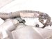 2024 Honda HR V Rear Differential 2.0l Awd 41200 6EX 000 Replacement 2024 Honda HR V Rear Differential 2.0l Awd 41200 6EX 000 Replacement thumbnail