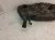 2014 Toyota Prius Gas / Fuel Tank 77001 47110 Replacement 2014 Toyota Prius Gas / Fuel Tank 77001 47110 Replacement thumbnail