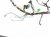 2020 Acura MDX A/c Wire Harness 3.5l Fwd 32157 TYR A70 Replacement 2020 Acura MDX A/c Wire Harness 3.5l Fwd 32157 TYR A70 Replacement thumbnail
