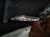 2021 Acura ILX Rear Passenger Door White No Inside Trim 67510 TX6 A81ZZ Replacement 2021 Acura ILX Rear Passenger Door White No Inside Trim 67510 TX6 A81ZZ Replacement thumbnail
