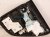 2020 Honda CR V Trim / Liner Rear Driver Interior Door Panel Black 83761 TLA A11ZB Replacement 2020 Honda CR V Trim / Liner Rear Driver Interior Door Panel Black 83761 TLA A11ZB Replacement thumbnail