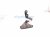 2024 Chevy Corvette Driver Side Folding Stowage Hinge 23270308 Replacement 2024 Chevy Corvette Driver Side Folding Stowage Hinge 23270308 Replacement thumbnail