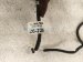 2022 Toyota Prius Parking Aid System Wiring Harness 82183 47050 Replacement 2022 Toyota Prius Parking Aid System Wiring Harness 82183 47050 Replacement thumbnail