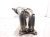 2024 Subaru WRX Exhaust Manifold 2.4l Mt 44610AD061 Replacement 2024 Subaru WRX Exhaust Manifold 2.4l Mt 44610AD061 Replacement thumbnail