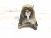 2020 Ford Explorer Engine/motor Driver Engine Mount 3.0l Awd L1MZ 6028 R Replacement 2020 Ford Explorer Engine/motor Driver Engine Mount 3.0l Awd L1MZ 6028 R Replacement thumbnail
