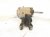 2020 Ford Explorer Engine/motor Driver Engine Mount 3.0l Awd L1MZ 6028 R Replacement 2020 Ford Explorer Engine/motor Driver Engine Mount 3.0l Awd L1MZ 6028 R Replacement thumbnail