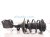 2024 Subaru WRX Front Passenger Strut Absorber + Spring 20310VC220 Replacement 2024 Subaru WRX Front Passenger Strut Absorber + Spring 20310VC220 Replacement thumbnail