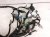 2023 Acura MDX Dash Instrument Harness Advanced 32117 TYA A50 Replacement 2023 Acura MDX Dash Instrument Harness Advanced 32117 TYA A50 Replacement thumbnail