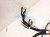 2023 Acura MDX Dash Instrument Harness Advanced 32117 TYA A50 Replacement 2023 Acura MDX Dash Instrument Harness Advanced 32117 TYA A50 Replacement thumbnail