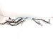 2023 Acura MDX Dash Instrument Harness Advanced 32117 TYA A50 Replacement 2023 Acura MDX Dash Instrument Harness Advanced 32117 TYA A50 Replacement thumbnail