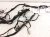 2023 Acura MDX Dash Instrument Harness Advanced 32117 TYA A50 Replacement 2023 Acura MDX Dash Instrument Harness Advanced 32117 TYA A50 Replacement thumbnail