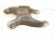 2020 Ford Explorer Rear Passenger Spring Seat Lower Control Arm LB5Z 5500 A Replacement 2020 Ford Explorer Rear Passenger Spring Seat Lower Control Arm LB5Z 5500 A Replacement thumbnail
