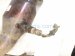 2020 Ford Explorer Passenger Oxygen Sensor 3.0l L1MZ 9G444 B Replacement 2020 Ford Explorer Passenger Oxygen Sensor 3.0l L1MZ 9G444 B Replacement thumbnail
