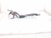 2024 Subaru WRX Rear Mid Seat Belt Black 64681VC130VH Replacement 2024 Subaru WRX Rear Mid Seat Belt Black 64681VC130VH Replacement thumbnail