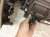 2024 Jeep Grand Cherokee Core Hvac Heater Box Assy 68579041AA Replacement 2024 Jeep Grand Cherokee Core Hvac Heater Box Assy 68579041AA Replacement thumbnail
