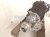 2025 Subaru Outback Legacy Automatic Transmission = 22k Mi 31000AL190 Replacement 2025 Subaru Outback Legacy Automatic Transmission = 22k Mi 31000AL190 Replacement thumbnail