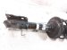 2025 Subaru Outback Legacy Front Passenger Strut Absorber + Spring 20310VC200 Replacement 2025 Subaru Outback Legacy Front Passenger Strut Absorber + Spring 20310VC200 Replacement thumbnail