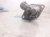 2025 Subaru Outback Legacy Core Core Starter Motor 23300AA930 Replacement 2025 Subaru Outback Legacy Core Core Starter Motor 23300AA930 Replacement thumbnail
