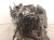 2025 Honda Accord Automatic Transmission = Mi 20041 6MR A02 Replacement 2025 Honda Accord Automatic Transmission = Mi 20041 6MR A02 Replacement thumbnail