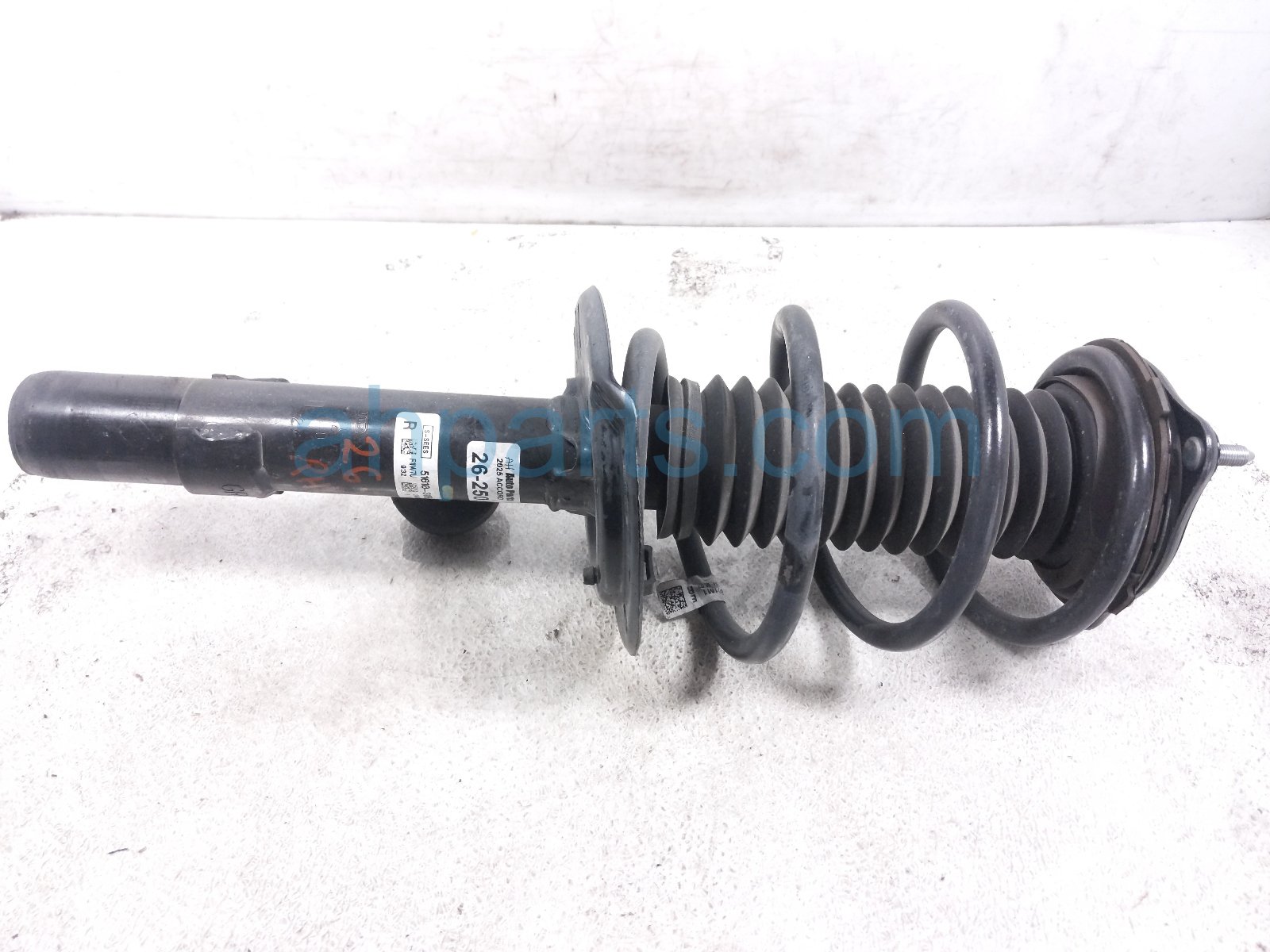 Honda FR/RH STRUT ABSORBER + SPRING