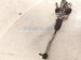 2025 Honda Accord And / Gear Box Power Steering Rack & Pinion 53620 30B D11 Replacement 2025 Honda Accord And / Gear Box Power Steering Rack & Pinion 53620 30B D11 Replacement thumbnail