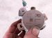 2020 Honda Pilot High Pressure Fuel Pump Engine Mtd 16790 RLV A01 Replacement 2020 Honda Pilot High Pressure Fuel Pump Engine Mtd 16790 RLV A01 Replacement thumbnail