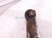 2020 Honda Pilot Front Passenger Lower Control Arm 51350 TZ5 A10 Replacement 2020 Honda Pilot Front Passenger Lower Control Arm 51350 TZ5 A10 Replacement thumbnail